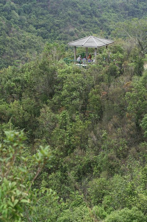 圓墩山|香港山澗足印 GoHikingHK: 深井>深井沉澱塘>圓墩古。